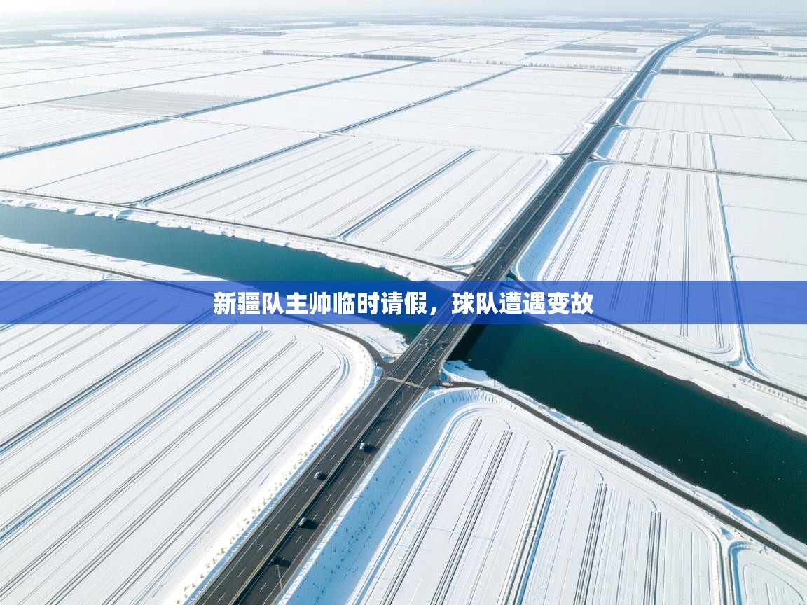 新疆队主帅临时请假，球队遭遇变故  第2张