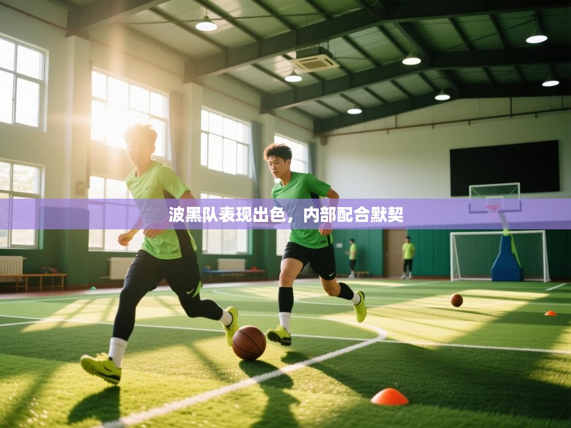 波黑队表现出色，内部配合默契