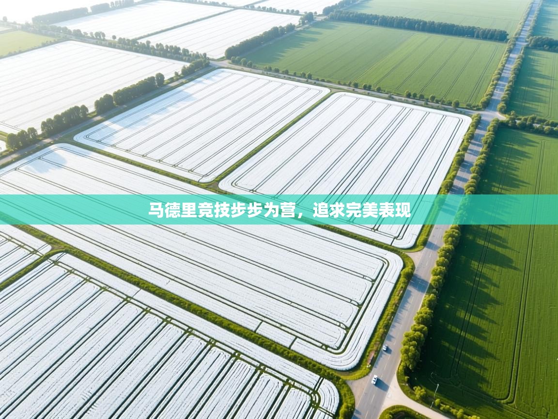 马德里竞技步步为营，追求完美表现