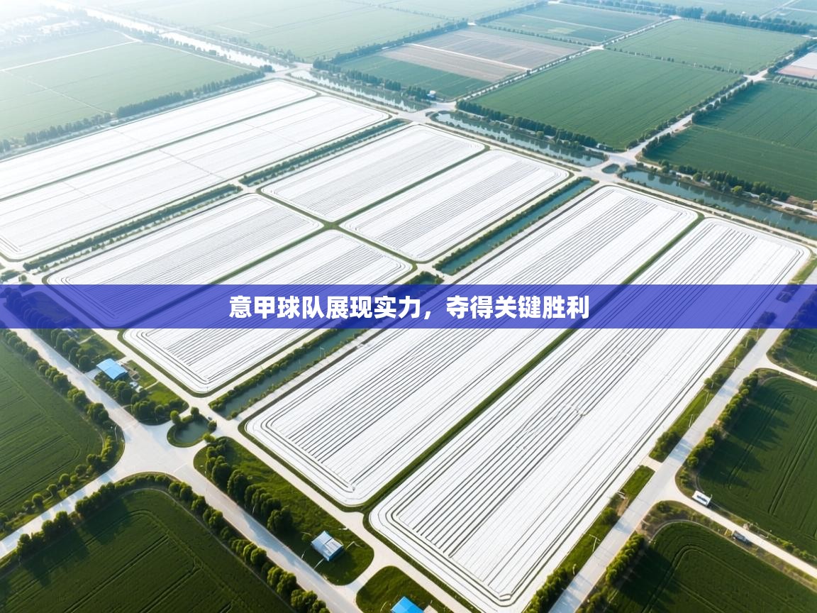 意甲球队展现实力，夺得关键胜利  第1张