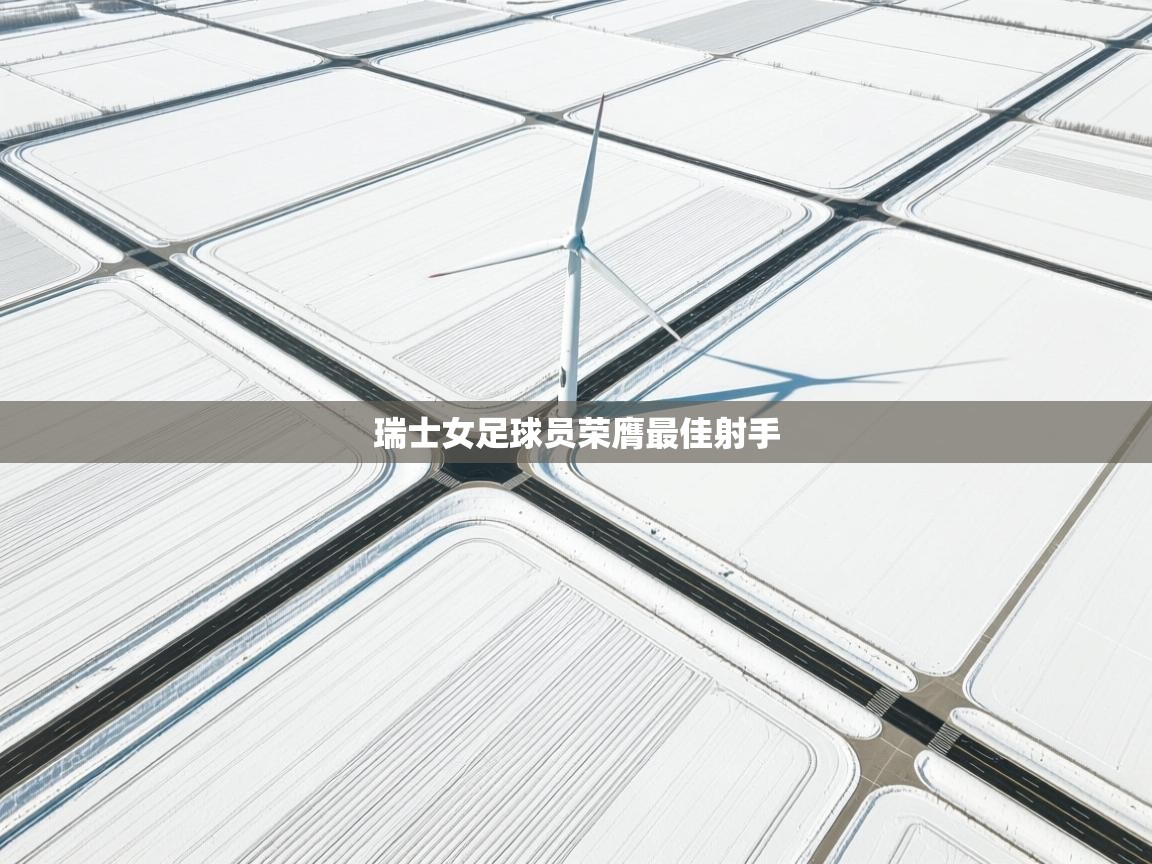 瑞士女足球员荣膺最佳射手 第2张