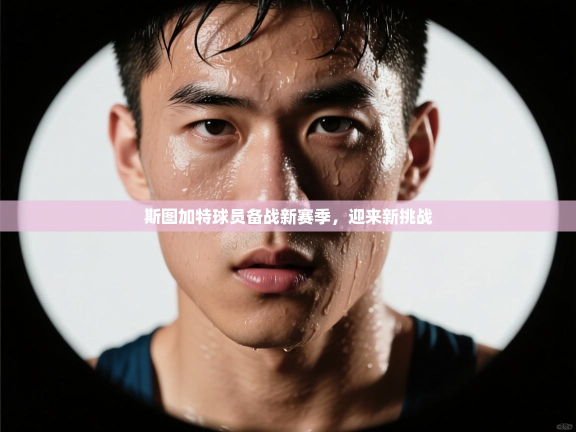 斯图加特球员备战新赛季，迎来新挑战  第1张