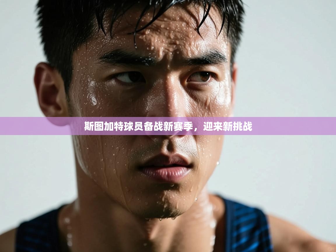 斯图加特球员备战新赛季，迎来新挑战  第2张